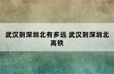 武汉到深圳北有多远 武汉到深圳北高铁